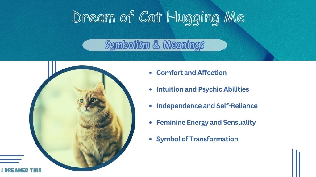 Dream of Cat Hugging Me info-graphic