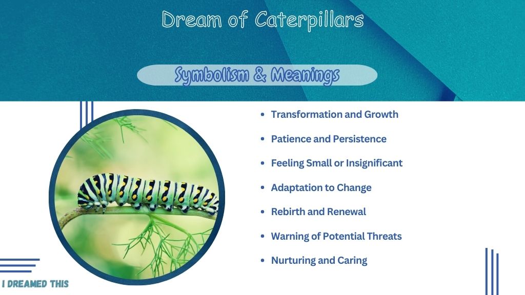 Dream of Caterpillars info-graphic