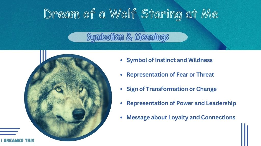 Dream of a Wolf Staring at Me info-graphic