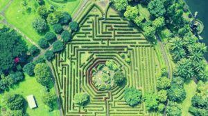 maze dream meaning