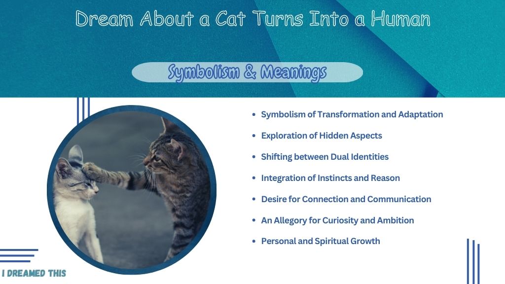 Dream About a Cat Turns Into a Human Meaning info-graphic