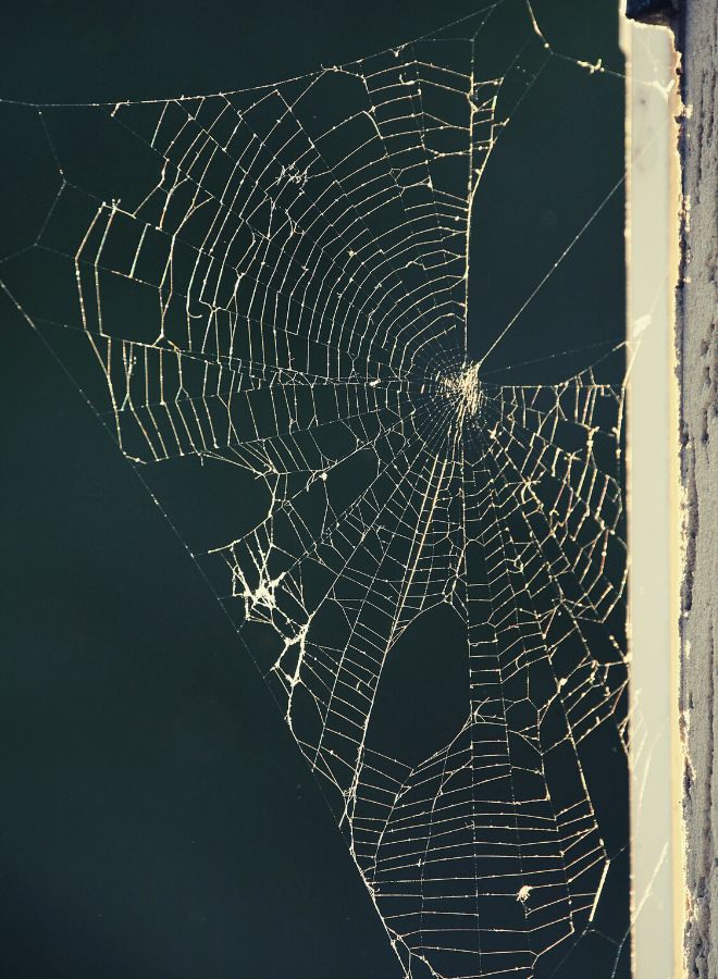 tear down the spider web in your dream