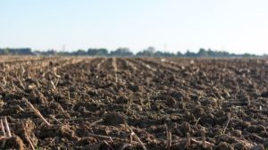 Dream About Soil