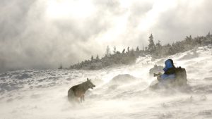 Dream of Taking Shelter From Storm