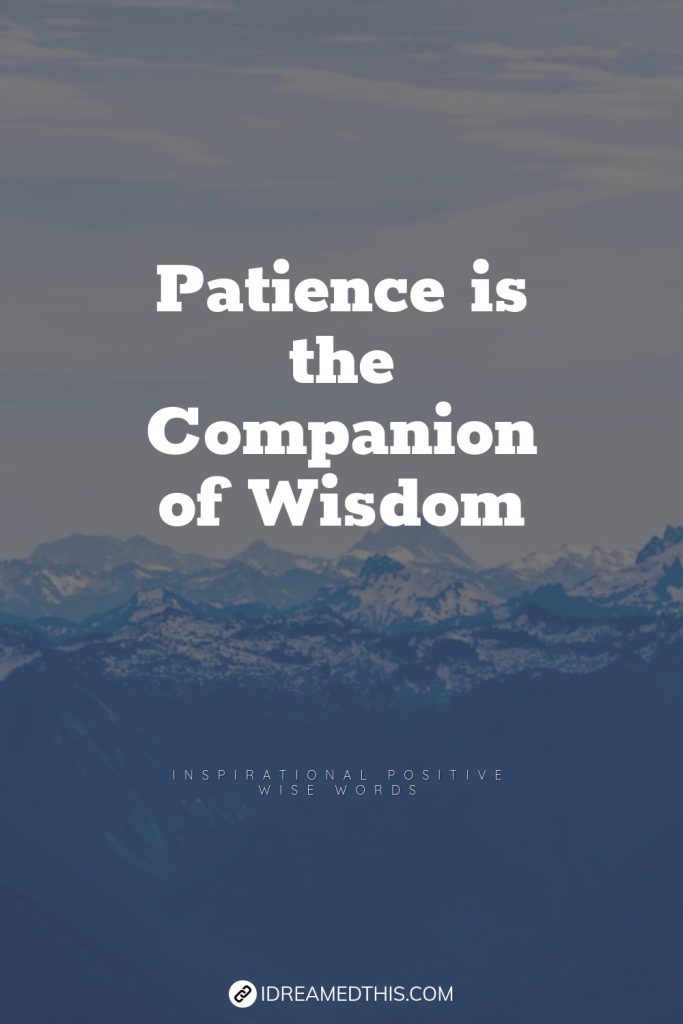 Patience is the Companion of Wisdom