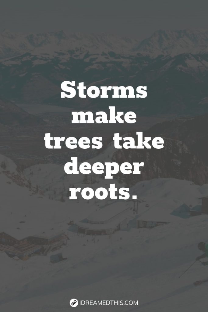 Storms make trees take deeper roots.