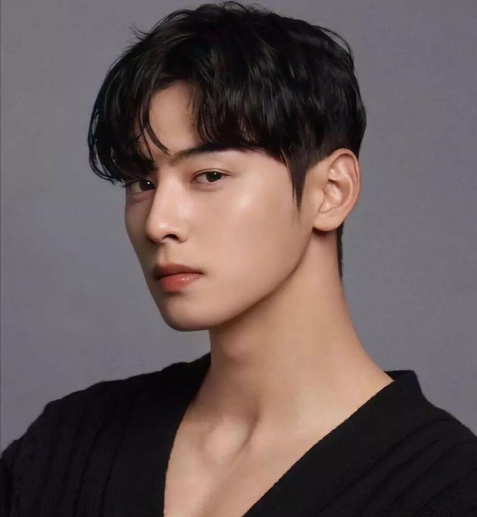 korean hairstyles for men - asianmenhairstyles3